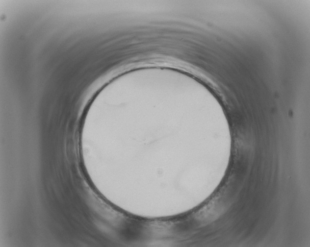 X0000080711514200612221130