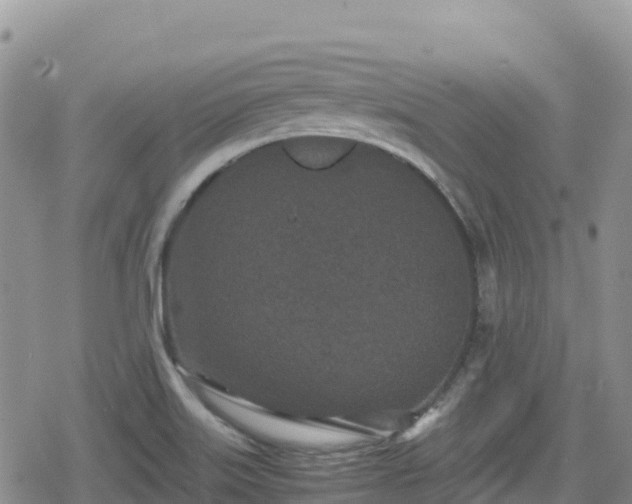 X0000080711515200612221130