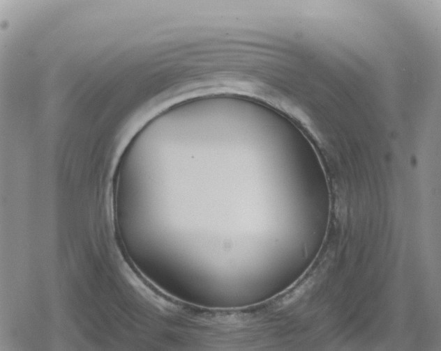 X0000080711516200612221130