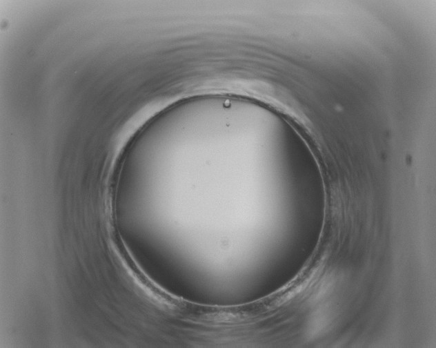 X0000080711517200612221130