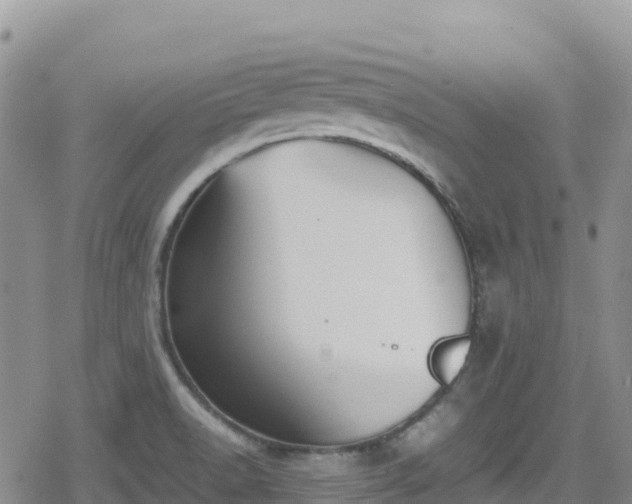 X0000080711518200612221130