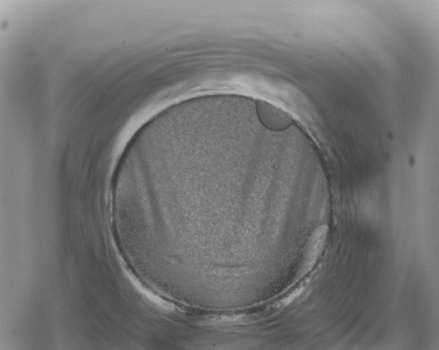 X0000080711519200612221130