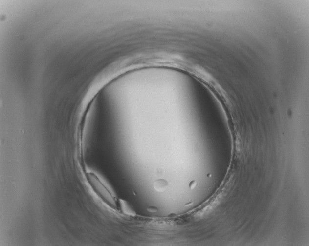 X0000080711520200612221130