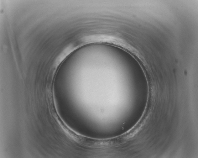 X0000080711521200612221130