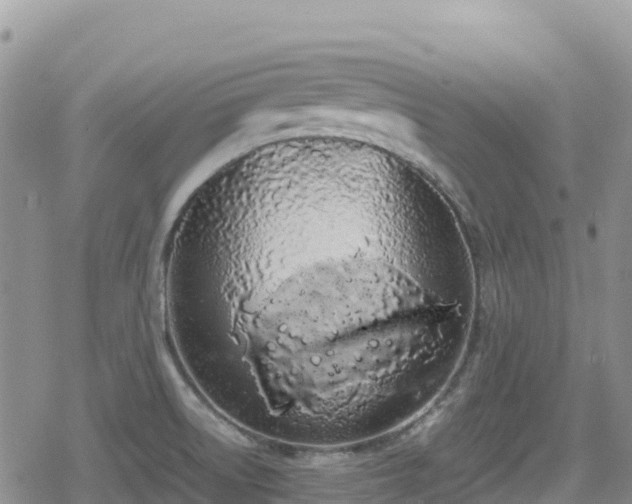 X0000080711522200612221130