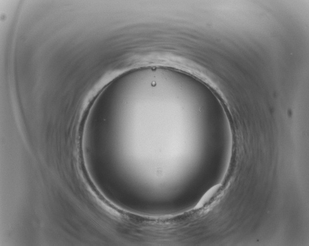 X0000080711525200612221130