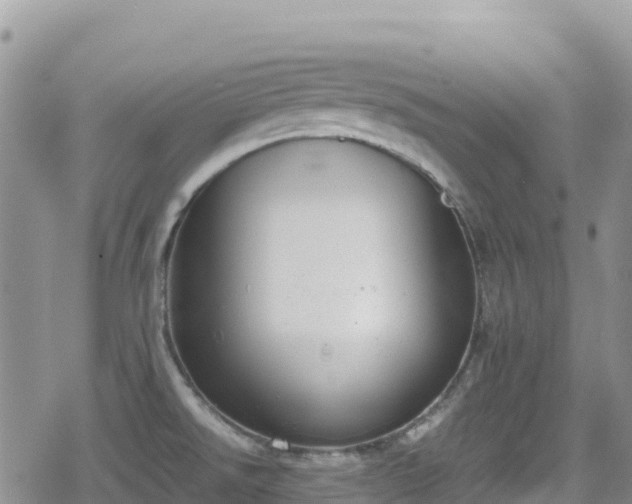 X0000080711526200612221130