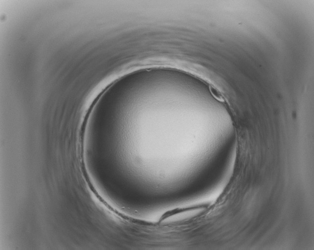 X0000080711527200612221130