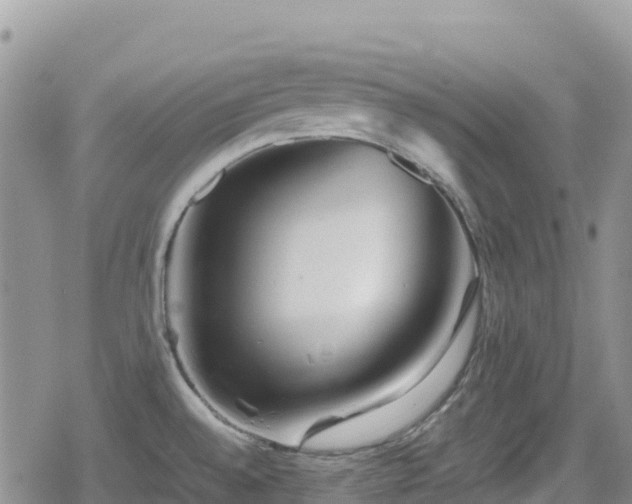 X0000080711528200612221130