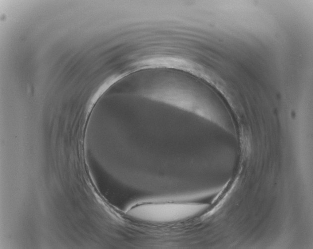 X0000080711529200612221130