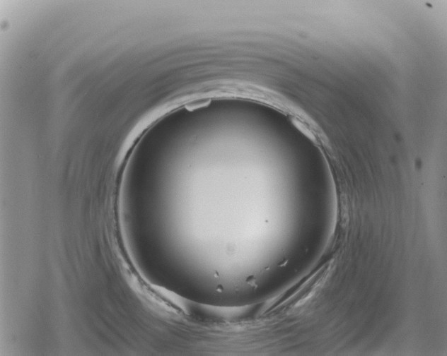 X0000080711530200612221130