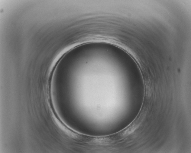 X0000080711531200612221130