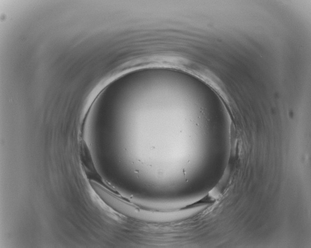 X0000080711532200612221130