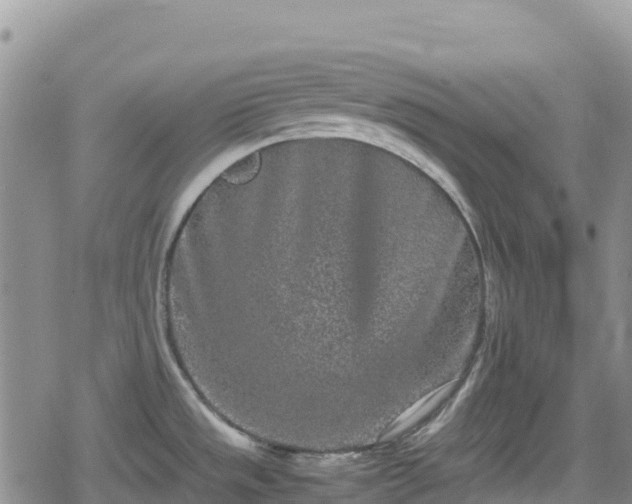 X0000080711533200612221130