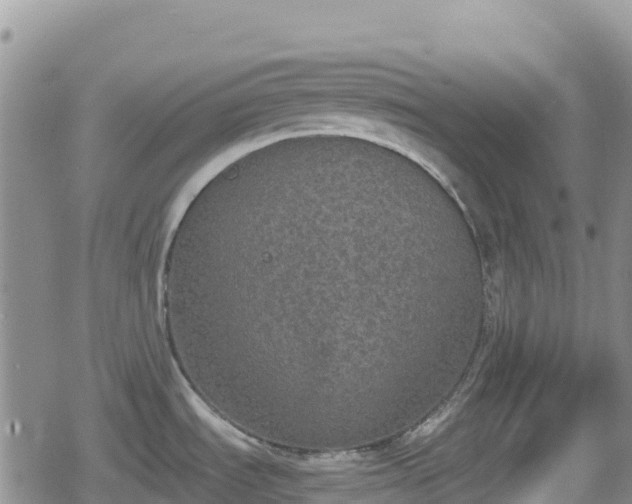 X0000080711535200612221130