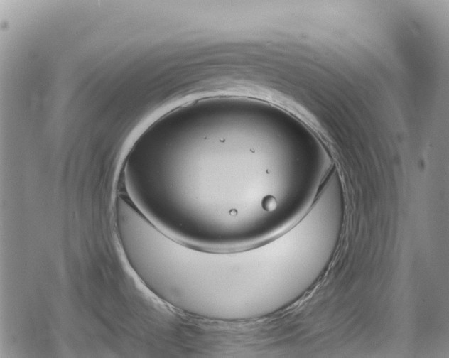 X0000080711536200612221130