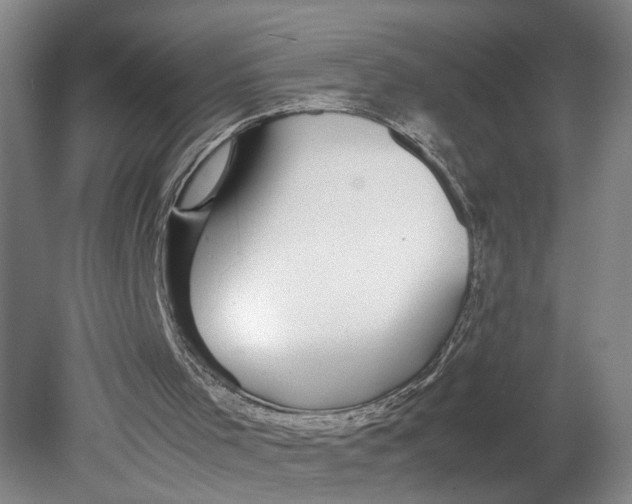 X0000080710001200701021040