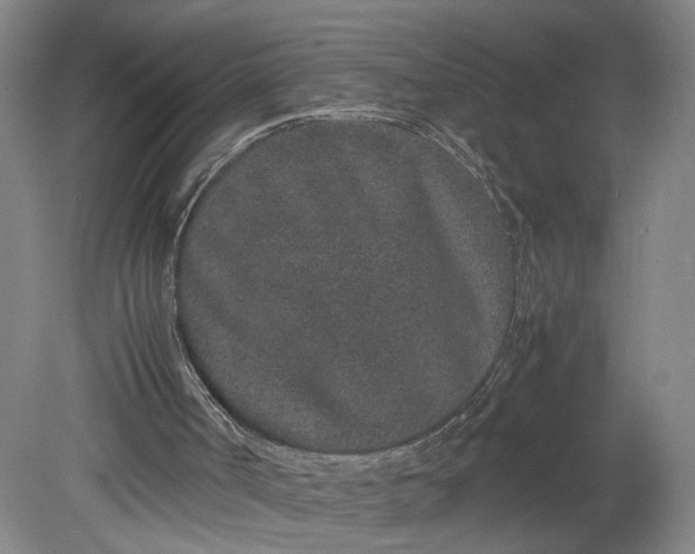 X0000080710002200701021040