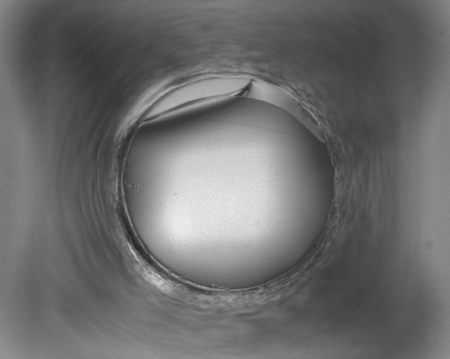 X0000080710005200701021040