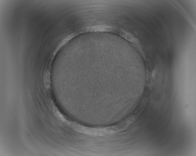 X0000080710012200701021040