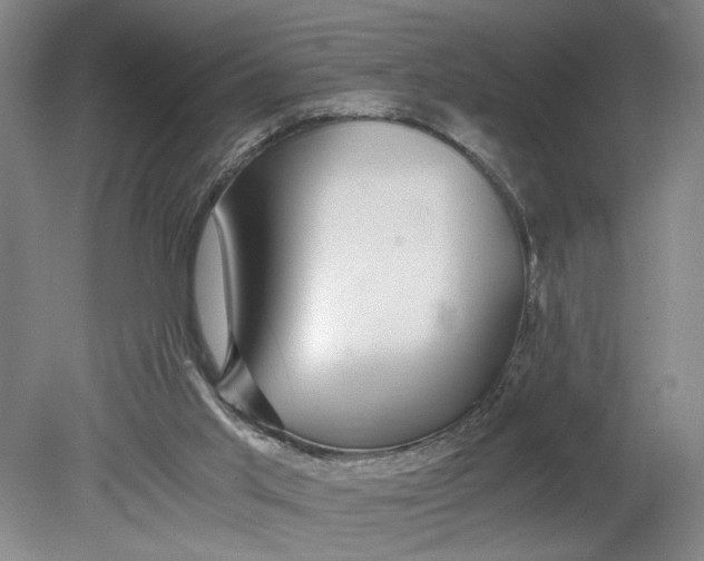 X0000080710013200701021040