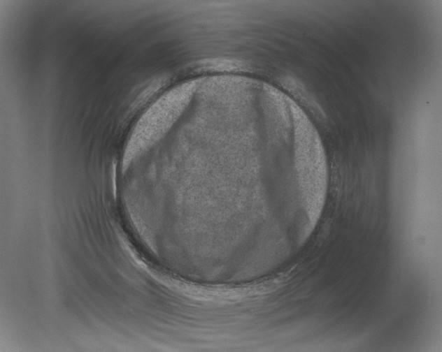 X0000080710014200701021040