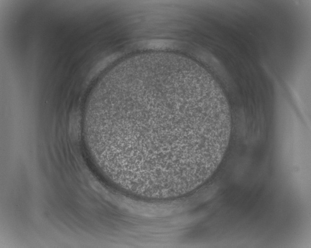 X0000080710016200701021040