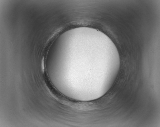 X0000080710020200701021040