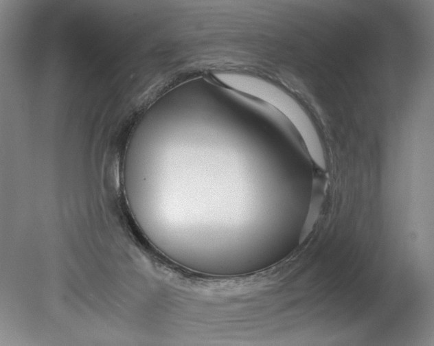 X0000080710021200701021040