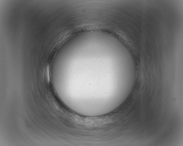 X0000080710022200701021040