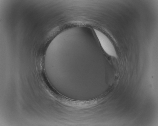 X0000080710023200701021040