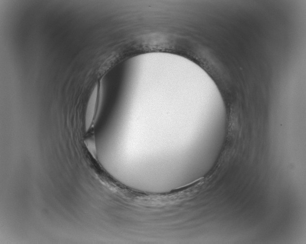 X0000080710025200701021040