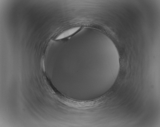 X0000080710027200701021040