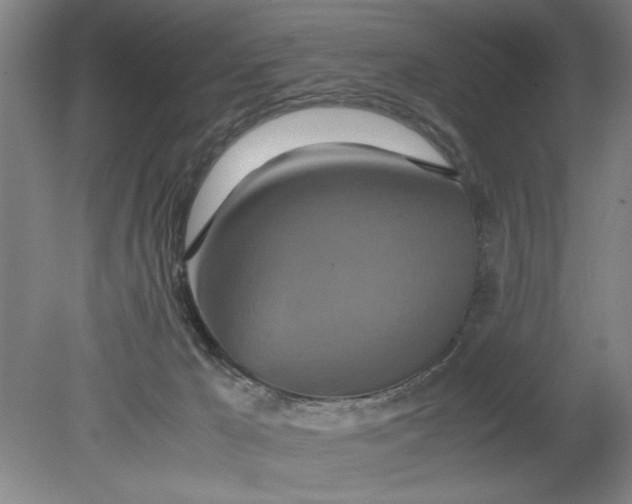 X0000080710029200701021040