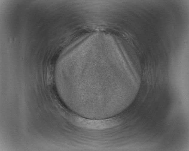 X0000080710030200701021040