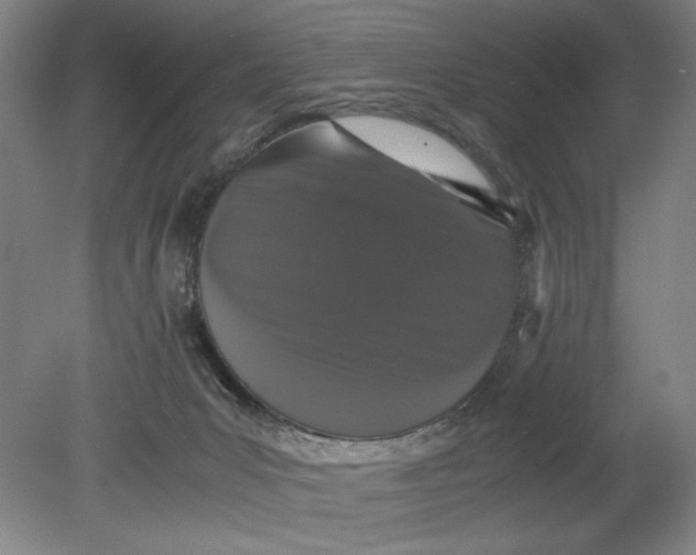 X0000080710031200701021040