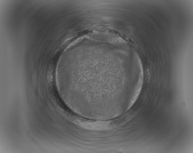 X0000080710032200701021040