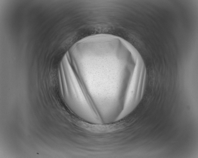 X0000080710034200701021040