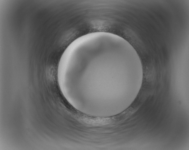 X0000080710036200701021040