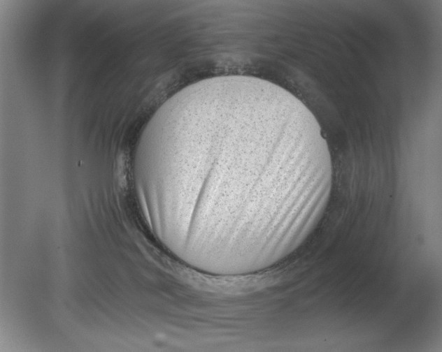 X0000080710038200701021040