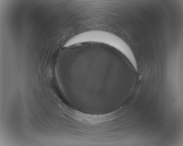 X0000080710039200701021040