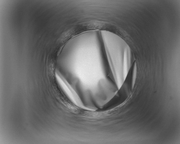 X0000080710045200701021039