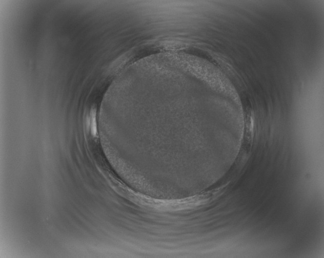 X0000080710046200701021039