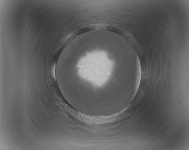 X0000080710047200701021039