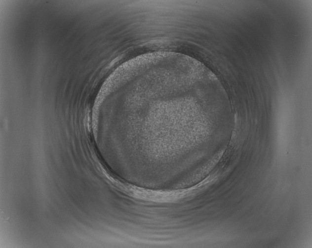 X0000080710048200701021039