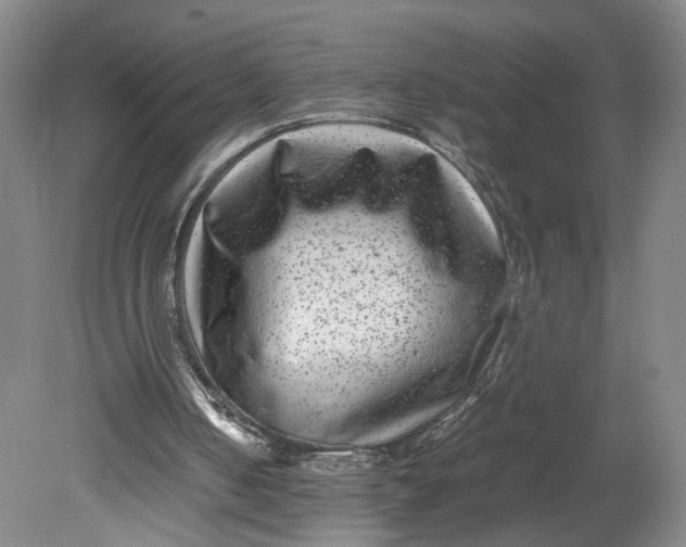 X0000080710050200701021039