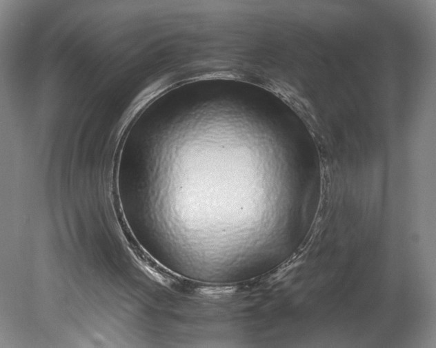 X0000080710051200701021039