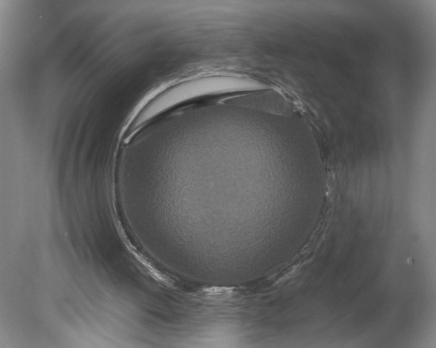 X0000080710052200701021039