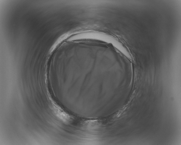 X0000080710054200701021039