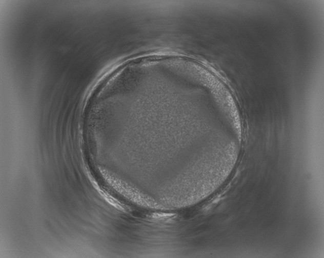 X0000080710055200701021039